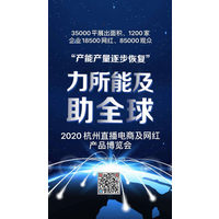 2020 第六届全球新电商大会暨直播电商网红产品展览会