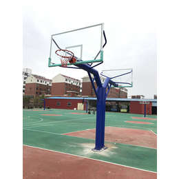 吉安篮球架-江西特冠体育-赣州市篮球架