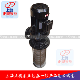 上海正奥CDLK型浸入式多级离心泵