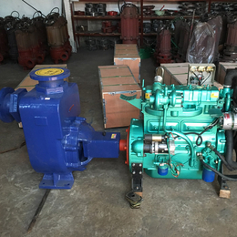克拉玛依ZW100-80-20无堵塞自吸排污泵-北工泵业