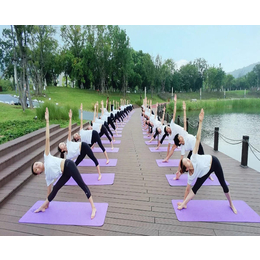 宿州瑜伽培训-合肥粹缘瑜伽教学-初级瑜伽培训