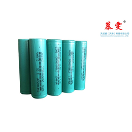 天津聚合物锂电池组-天津天成盛-锂电池组