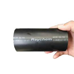 RAYCHEM(多图)-D-621-0474