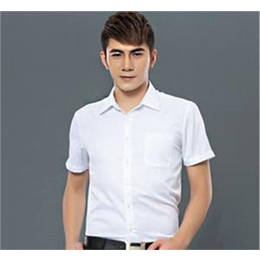 温州职业衬衣-美恒服装厂-纯棉职业衬衣订制