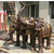 铜大象图片-昌盛铜雕-铜大象缩略图1