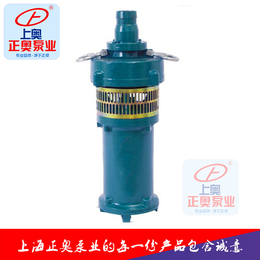 上海正奥QS小型井用潜水泵 不锈钢深井泵