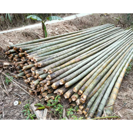 山西2.2米菜架竹-三湘竹木建材-2.2米菜架竹厂家