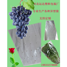 透明葡萄袋-葡萄袋-雄县运达塑料包装厂