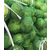 金土地蔬菜全国发货-大型蔬菜代收中心怎么收费缩略图1