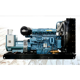 潍柴发电机组-德曼动力科技公司-700千瓦 潍柴发电机组