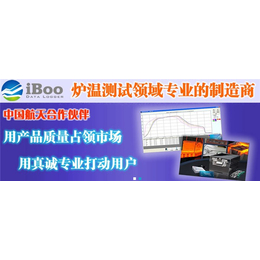 iBoo炉温曲线测试仪批发-炉温曲线测试仪-*炉温测试仪