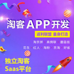 行唐淘客营销-【淘客app】(图)-淘客营销佣金 如何获取