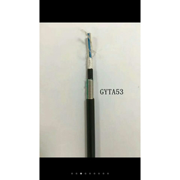 室外层绞式光缆GYTA53-2-432芯长阳光缆厂家*缩略图