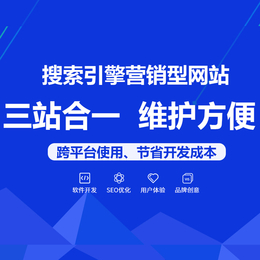 广州小程序开发 广州分销商城建设 自动营销型网站开发