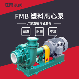 江南FMB32-25-125小型塑料合金离心泵 缩略图
