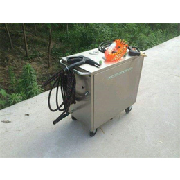 移动蒸汽洗车机原理-汇丰机电(在线咨询)-昆明移动蒸汽洗车机