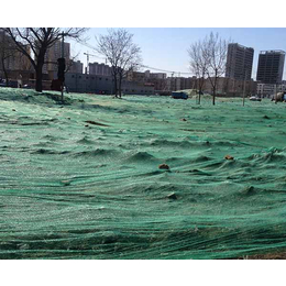合肥防尘网-环保防尘网生产厂家-合肥皖篷(推荐商家)