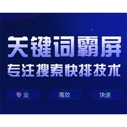 天津网络推广公司-天津网络推广-世纪众融(图)
