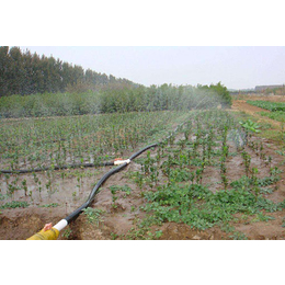 园林节水喷灌设备-润成节水灌溉(在线咨询)-永平节水喷灌