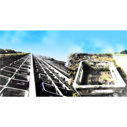护坡砖-池州金州新型建材-生态护坡砖