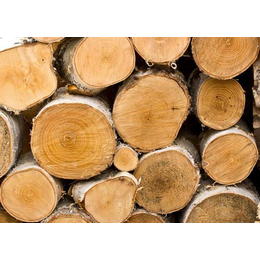 非洲木材进口报关清关 节省进口成本巨晖帮您做