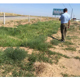 农用灌溉管-信德灌溉管-亳州灌溉管