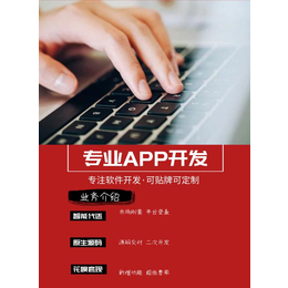 代还APP开发厦门维壹代还软件开发