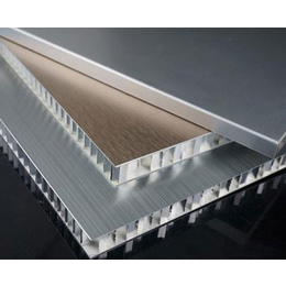 铝蜂窝复合板生产-铝蜂窝复合板-斌升净化板采购工厂(查看)