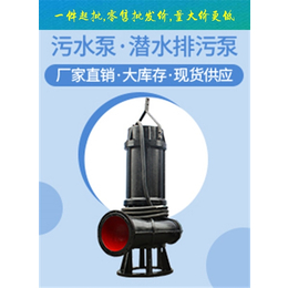 卧式污水泵-卧式污水泵报价-中蓝泵业(推荐商家)