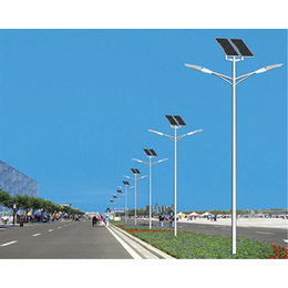 山西东臻太阳能(在线咨询)-长治太阳能路灯-新农村太阳能路灯