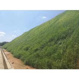 四川矿山植被恢复边坡绿化保水剂批发销售