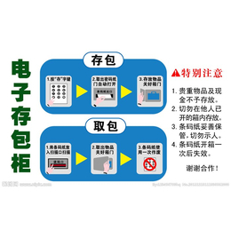 重庆永昌办公(图)-智能电子寄存柜-电子寄存柜