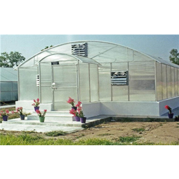 建造阳光板温室施工队-陕西建造阳光板温室-齐鑫温室玻璃大棚