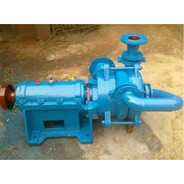 压滤机*入料泵生产厂-强能水泵厂