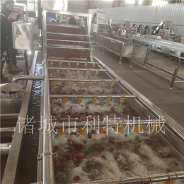  500公斤红枣生产线厂家 全自动大枣清洗机商家 大枣加工设备    