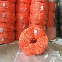 聚乙烯包装绳每吨价格-远翔绳网(在线咨询)-聚乙烯包装绳