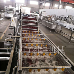 大枣生产线设备制造商  河北大枣高压清洗机  红枣气泡清洗机  