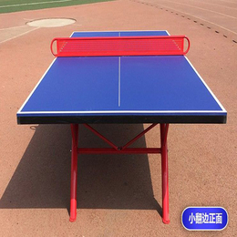 乒乓球台-乒乓球台生产厂家-乒乓球台价目表(诚信商家)