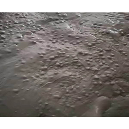 水泥陶粒混凝土-安徽富峰-江苏陶粒混凝土