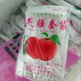 苹果透气套膜袋-常兴果袋-苹果透气套膜袋规格