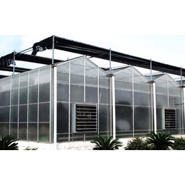 齐鑫温室园艺-北市区阳光板温室造价-阳光板温室大棚每平米造价