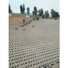 护坡砖作用-武汉护坡砖-华宇彩砖砂基透水砖(查看)