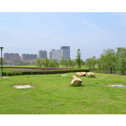 园林绿化建设-淮南园林绿化-百通生态环境工程