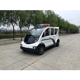 6座电瓶巡逻车-南京凯特能源技术公司-南京电瓶巡逻车