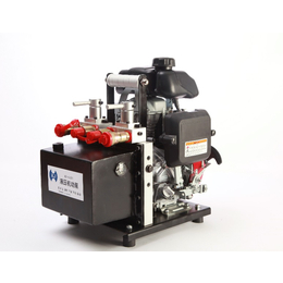 双输出液压机动泵 韩国原装进口 金正KJI-LK2R