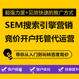 广州SEM优化托管运营公司 付费广告推广 支持百度360搜狗