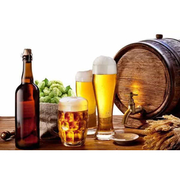 东莞松山湖精酿啤酒-宏红食品贸易(在线咨询)-精酿啤酒
