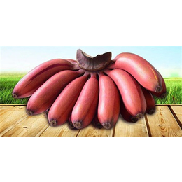 香蕉批发-香蕉-三亚水果批发