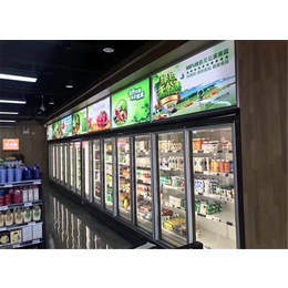 冷藏超市冷冻柜定做-湖南超市冷冻柜-比斯特冷冻设备