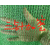 绿网报价-太原飞宇薄膜(在线咨询)-朔州绿网缩略图1